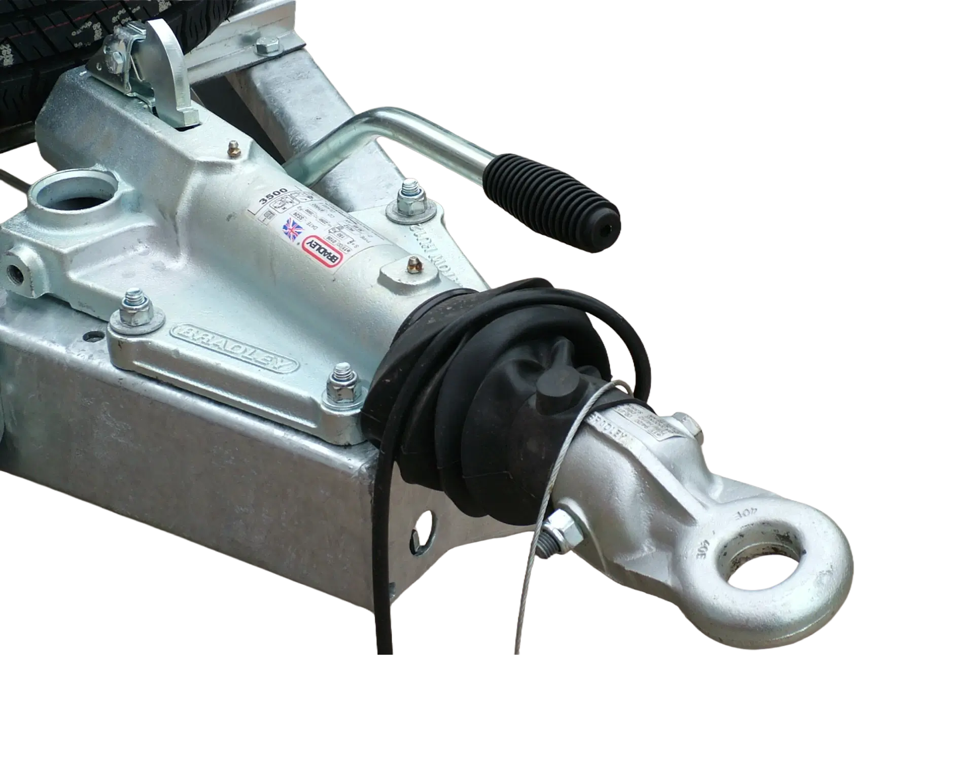 lodeck-beavertail-10