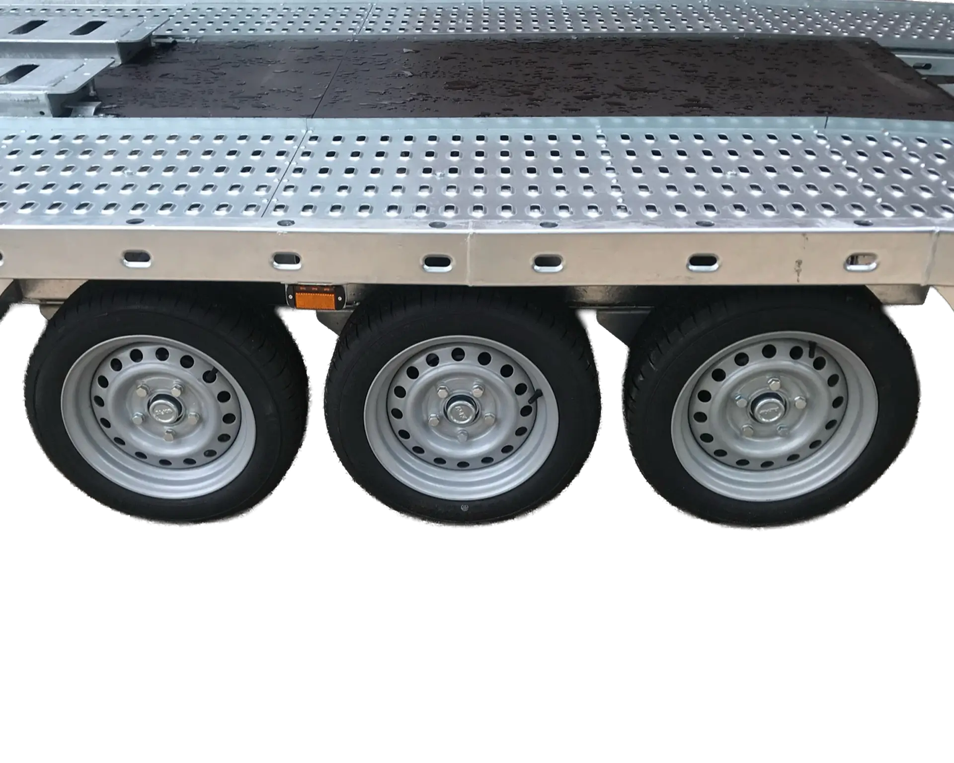 lodeck-beavertail-16