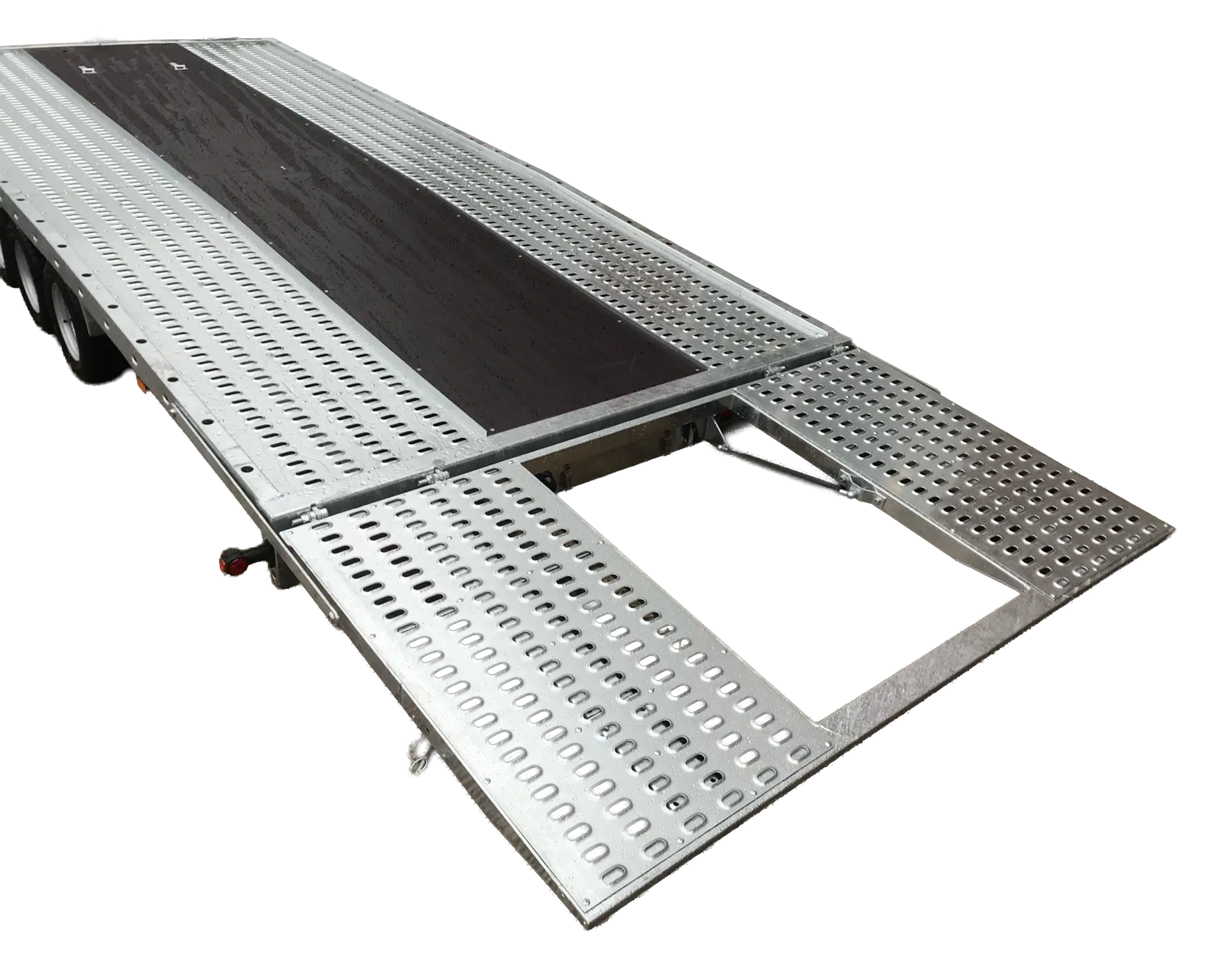 lodeck-beavertail-25