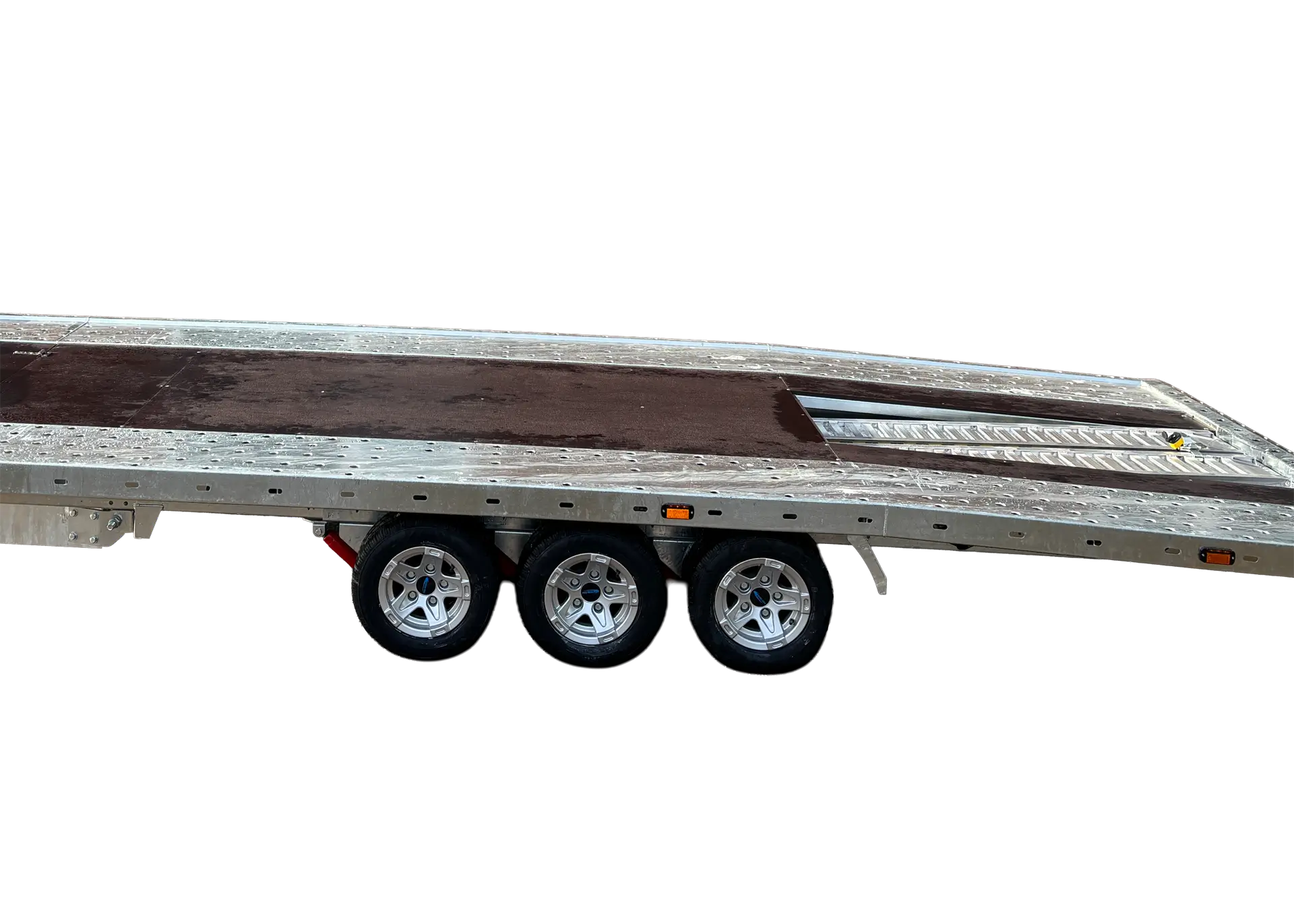 proline-beavertail-19