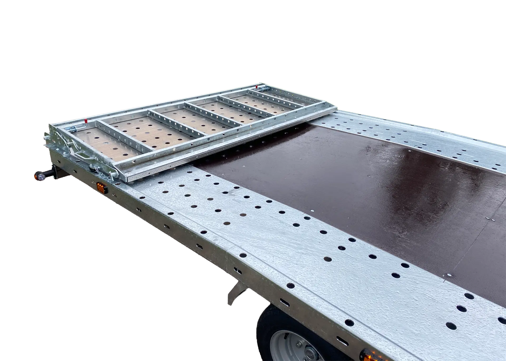 proline-beavertail-25